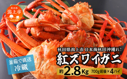 【秋田県潟上市】日本海沖産 紅ズワイガニ700g前後×4匹 約2.8kg/冷蔵 冷蔵 ズワイガニ 4匹 約 2.8kg 紅ズワイガニ ベニズワイガニ ずわい ズワイ蟹 ずわいがに ずわい蟹 姿 ボイル 訳あり 蟹 カニ