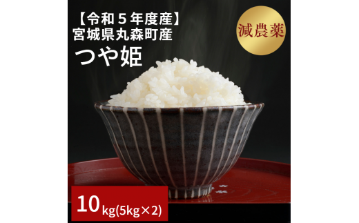 ＜数量限定＞令和5年度産 つや姫 10kg(5kg×2) 【11102】