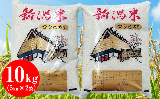 新潟県産コシヒカリ10kg