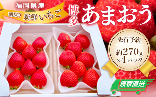 農家直送 朝採り新鮮いちご【博多あまおう】[(約270g)×4パック] 福岡県産 先行予約 2023年11月より順次発送　NY001