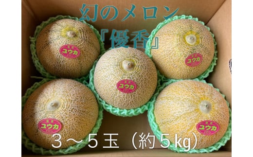 令和6年 優香メロン 3～5玉（約5kg）甘くてジューシーなメロン - 茨城県常総市｜ふるさとチョイス - ふるさと納税サイト