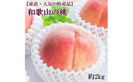 ya̎RlzyYElC̓Yiza̎R̓@2kgEGIi|    Y t[c ʕ ʎ  Mtg fU[g XC[c 蕨2024N7{`8{ɏ