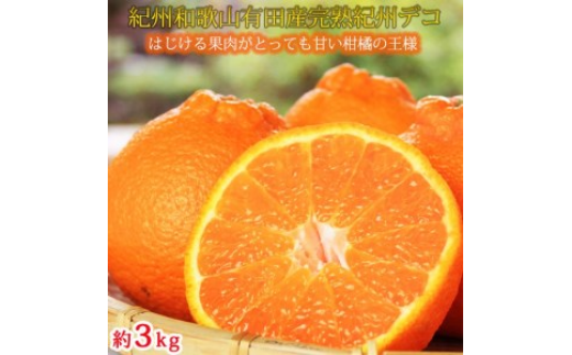 ya̎Rlzʓvv@nIBfR(sm) 3kg2024N2{`3{ɏ\