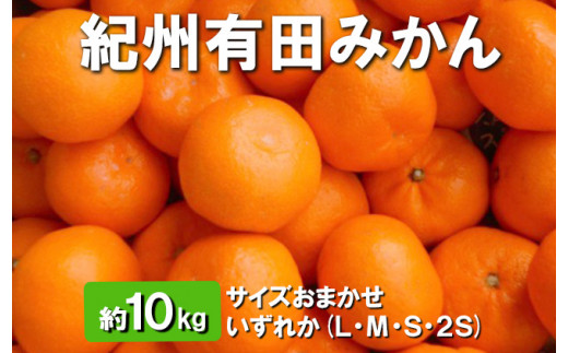 ya̎RlzIBLc݂ 10kg TCY܂ ꂩ(LEMESE2S) ւ̔zs 2025N11{`2026N1{\