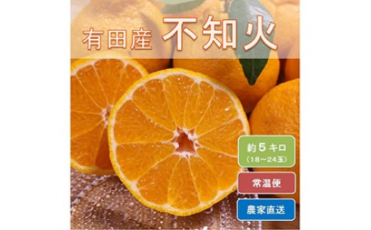 和歌山県有田産 不知火 約5kg（18～24玉）ひとつひとつ手選別で厳選