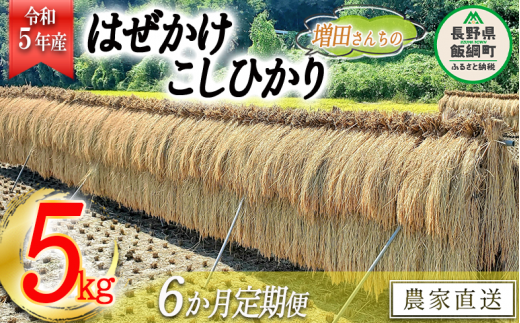 米 はぜかけ こしひかり 5kg × 6回 【 6か月 定期便 】( 令和5年産