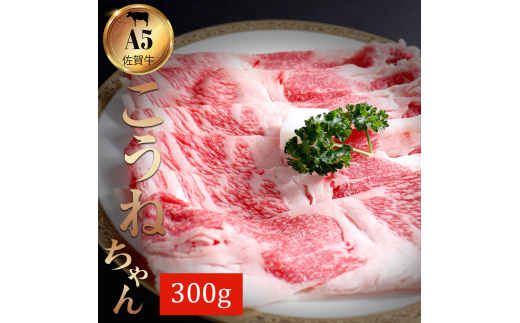 yꌧɖszꋍ؂藎ƂREl300g 161-J786