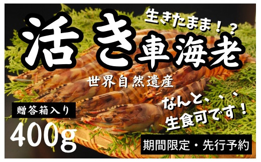 サンプル写真