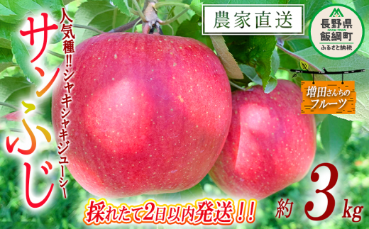 りんご ムーンルージュ 3kg やまじゅうファーム 沖縄県への配送 りんご ムーンルージュ 3kg やまじゅうファーム 沖縄県への配送
