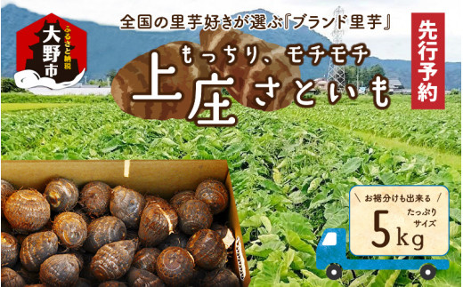 【先行予約】上庄さといも 5kg日本一の味をめざし、有機肥料配合