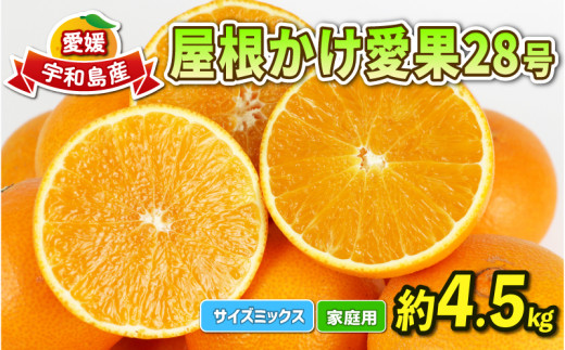 愛果28号 4.5kg 家庭用 屋根かけ サイズ ミックス 陽だまりミカン 高級 ブランド 限定 品種 甘い ゼリー プルプル 果物 フルーツ 柑橘  みかん 農家直送 産地直送 数量限定 国産 愛媛 宇和島 B018-050004