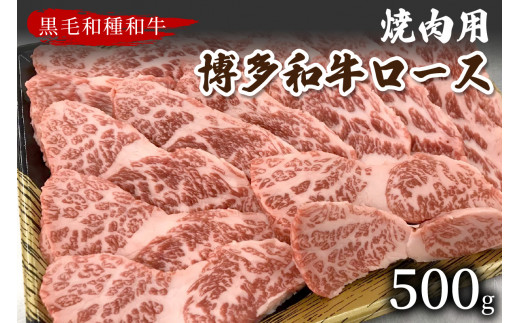 【福岡県中間市】【数量限定】博多和牛ロース焼肉用(500g)【009-0011】