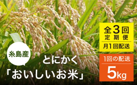 yszyS3(1)ցzƂɂ Ђ̂Ђ ܂ ɂ܂ 5kg s V[u [AHC047]