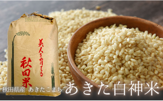 令和4年産】秋田県産 あきたこまち『あきた白神米』 玄米 30kg×1袋