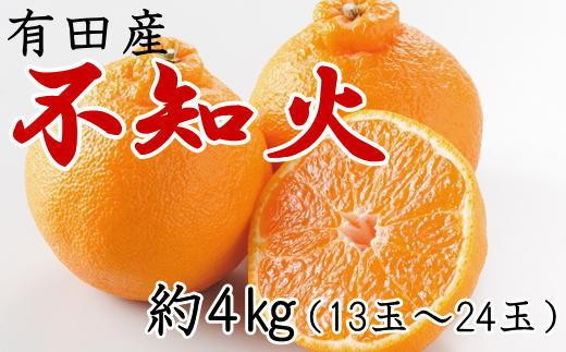 【濃厚】有田の不知火約4kg（13～24玉）★2024年2月上旬頃より順次発送