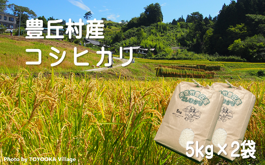 A-70 豊丘のお米！コシヒカリ計10kg（5kg×2）※令和6年産 新米※ 10月以降発送開始 - 長野県豊丘村｜ふるさとチョイス -  ふるさと納税サイト