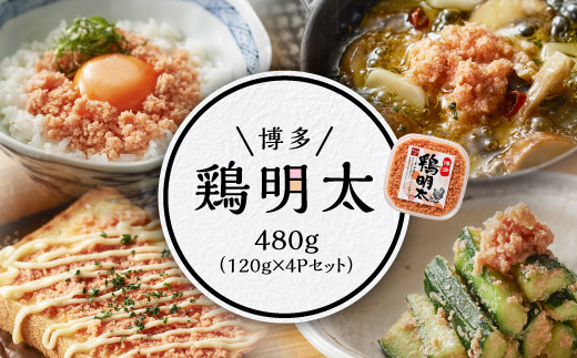 yԑz@{480gi120×4PZbgj Y24