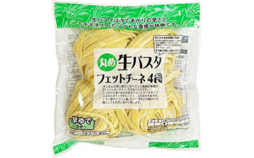 生パスタ フェットチーネ 4.8kg 48食分 ( 400g × 12袋 )｜ 生麺 - 香川