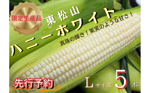 限定20箱】【先行予約】東松山市産 白とうもろこし 5本 ハニーホワイト