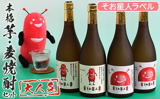 鹿児島曽於市の本格焼酎を飲み比べ そお星人の芋焼酎と麦焼酎セット 岩川醸造(720ml×4本) 芋焼酎 麦焼酎 飲み比べ【山元商店】A58-v01 -  鹿児島県曽於市｜ふるさとチョイス - ふるさと納税サイト