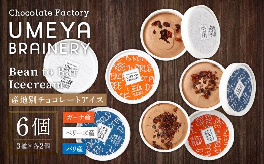 Bean to Bar Icecream (産地別チョコレートアイス ６個入り)【ＵＭＥＹＡＢＲＡＩＮＥＲＹ】_KA0583