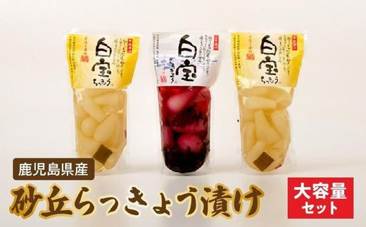 1kg らっきょう 甘酢漬け 大容量 8袋 らっきょう 1kg 国産 無添加