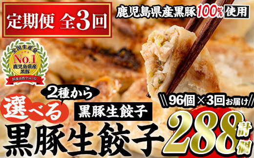 No.861t-A ＜定期便・全3回＞鹿児島黒豚使用の黒豚餃子(計96個・12個