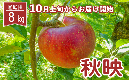りんご 秋映 家庭用 8kg - 長野県中野市｜ふるさとチョイス - ふるさと