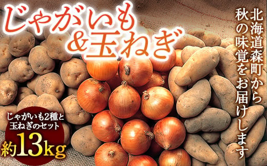 先行予約】【新じゃが】 北海道 大地からの贈り物 じゃがいも&玉ねぎ