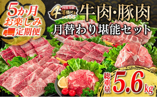 5か月 お楽しみ 定期便 牛肉 豚肉 月替わり 堪能 セット 総重量5.6kg