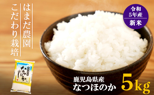 令和5年産新米】【新米先行受付】なつほのか５kg はまだ農園こだわり