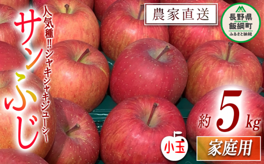 y쌧эjz Tӂ ƒp (  ) 5kg R_ ꌧւ̔zs 2026N1{2026N3{܂ŏ\ ߘa7Nxn MB ʕ t[c S ь 