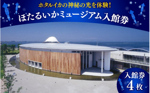 ほたるいかミュージアム入館券 / 4枚 - 富山県滑川市｜ふるさと