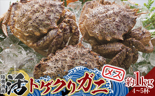 青森県 陸奥湾産 活トゲクリガニ(メス) 約1kg (4～5杯) 【琉宝丸