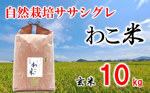 A202] 幻のお米 自然栽培ササシグレ「わこ米」玄米 10kg - 石川県羽咋