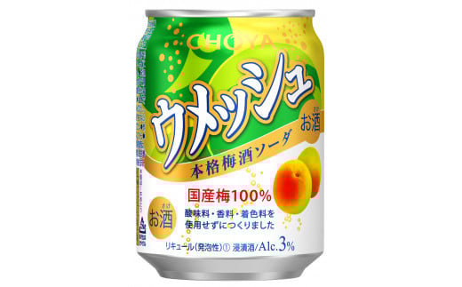 y򕌌esz624 `[ CHOYA EbV R{i~\[_ 250ML×24{
