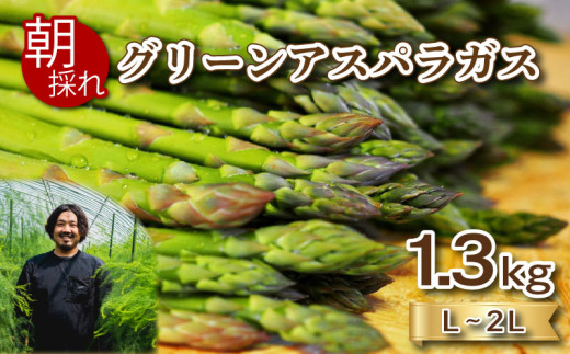 【 期間限定 】 アスパラガス 1.3kg 朝採れ 大容量 アスパラ 夏芽 L ～ 2L 有機栽培 サイズ混合 訳あり セット 野菜 新鮮 下関 山口