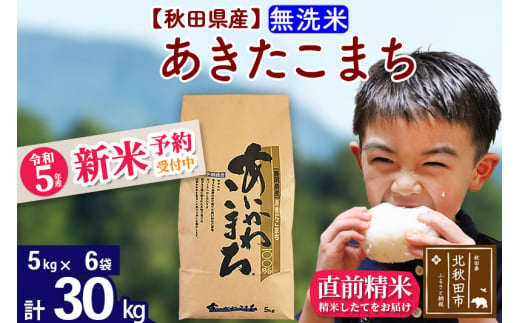 新米予約】秋田県産あきたこまち 30kg (5kg×6袋) (無洗米) 令和5年産