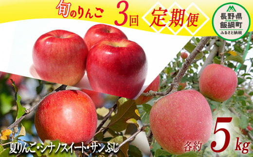 旬のりんご 3種 《 定期便 》 5kg × 3回 Cコース 沖縄県への配送不可