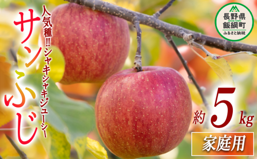 りんご サンふじ 家庭用 5kg 沖縄県への配送不可 2023年12月上旬頃から