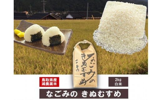 鳥取県産きぬむすめ　玄米20kg×1袋　安心！安全！減農薬