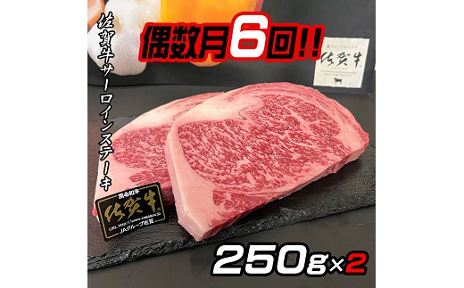 偶数月定期便（年6回）】佐賀牛ステーキ 250g×2：C180-008 - 佐賀県