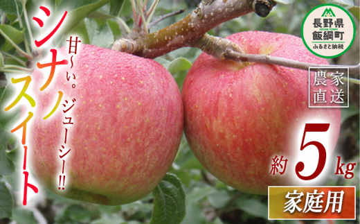 y쌧эjz VimXC[g ƒp 5kg }E_ ꌧւ̔zs 2025N10{2025N10{܂ŏ\ ߘa7Nxn MB ʕ t[c S ь