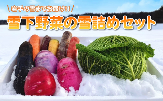 【予約受付 2023年1月～発送】岩手の雪までお届け！雪下野菜の雪詰めセット