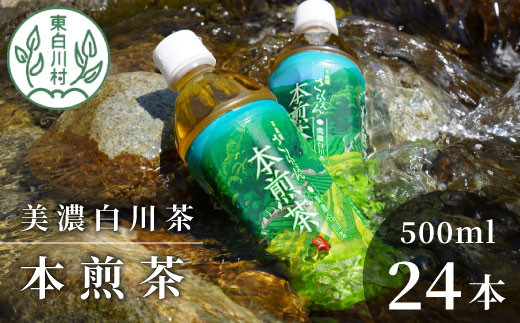 山の希少茶 美濃白川茶 本煎茶ペットボトル 24本 500ml お茶 緑茶 日本茶 煎茶 飲料 ペットボトル