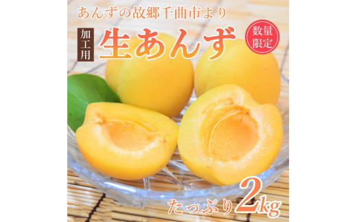 加工用あんず 2kg