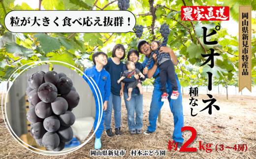 村本ぶどう園 ピオーネ 約2kg 3～4房 【先行予約 2024年9月中旬から順次発送】 - 岡山県新見市｜ふるさとチョイス - ふるさと納税サイト