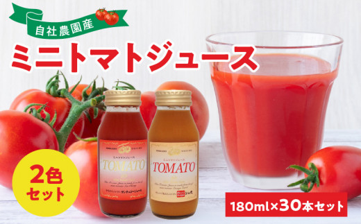 自社農園産180ml×30本 ミニトマト2色セット サンチェリーミニ