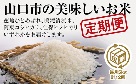 有機肥料栽培の阿東米！山口県阿東産コシヒカリ玄米 30kg【8℃で