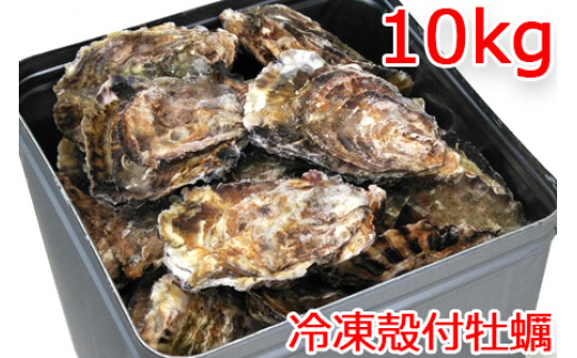 広島県大竹市産 冷凍殻付牡蠣 10kg｜朝どれ 大容量 冷凍 加熱用 かき